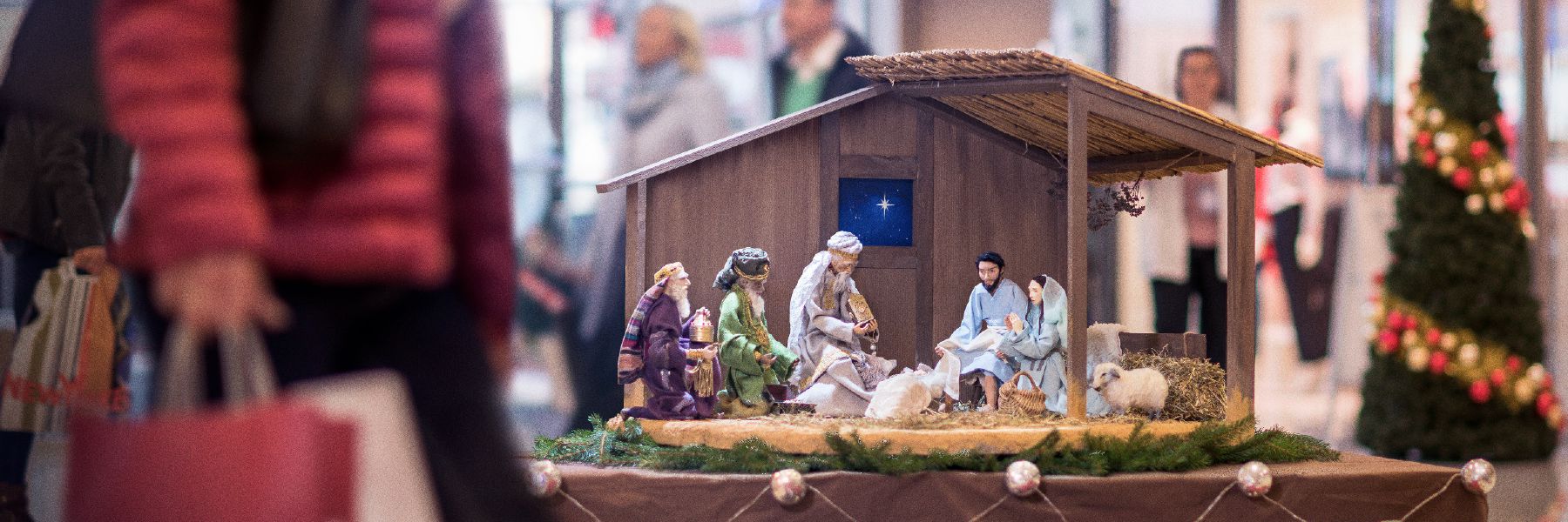 Un ser humano rodeado de diferentes seres vivos: animales, insectos, aves y plantas.