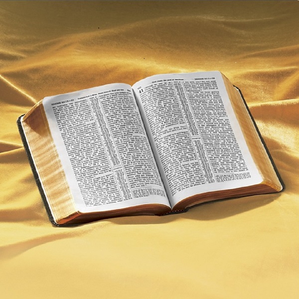 El libro ¿Qué nos enseña la Biblia?