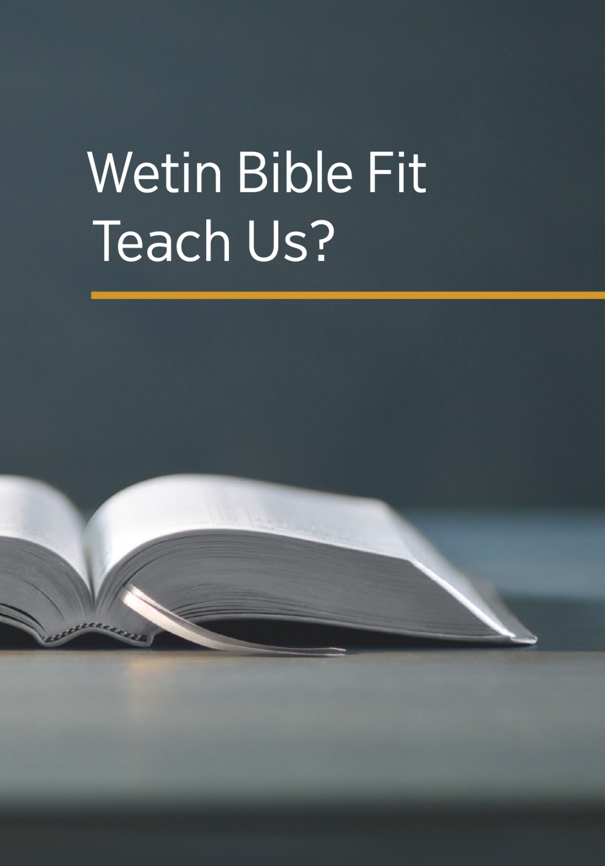 The book ‘Wetin Bible Fit Teach Us?’