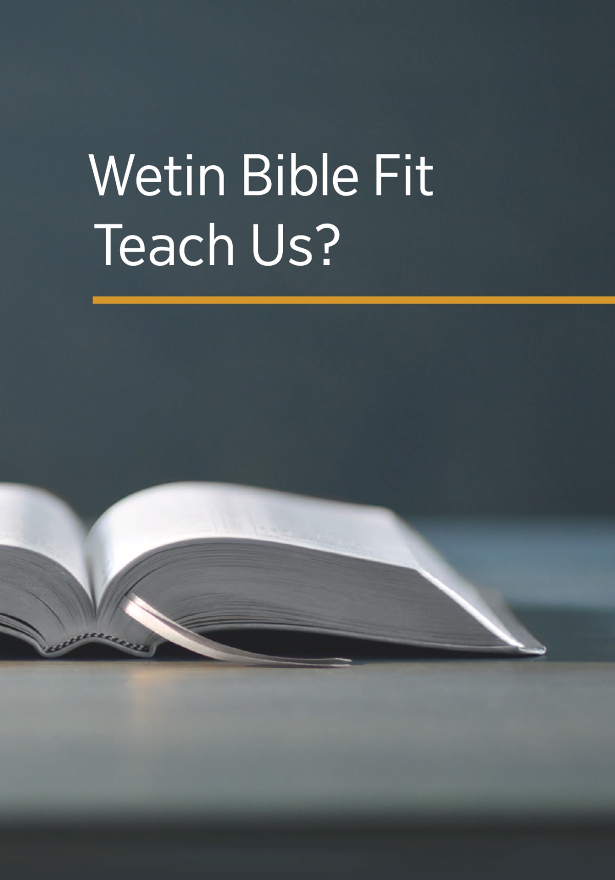 The book ‘Wetin Bible Fit Teach Us?’