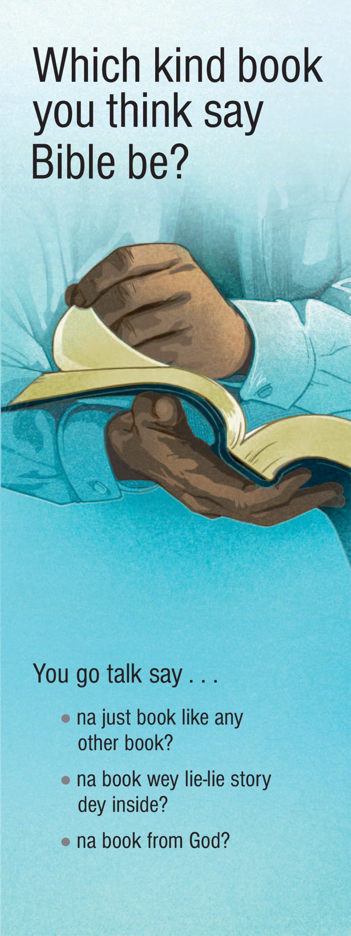 Which Kind Book You Think Say Bible Be?