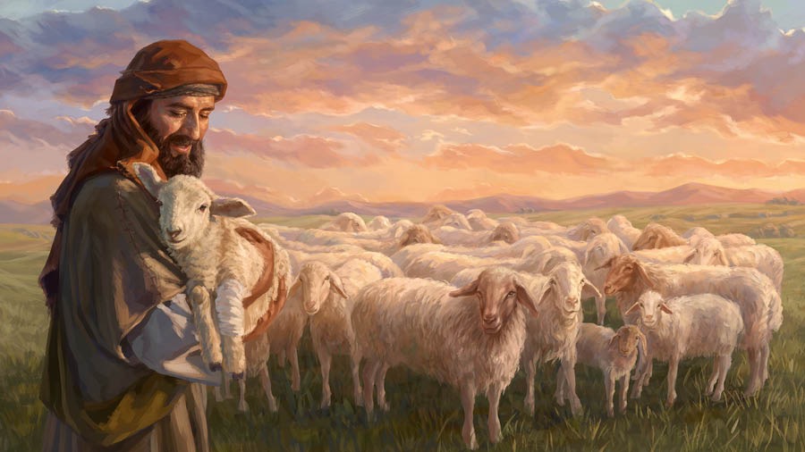 The shepherd de carry the small sheep wey lost. E don bandage the leg wey wound dey, and the other sheep them dey near the shepherd.