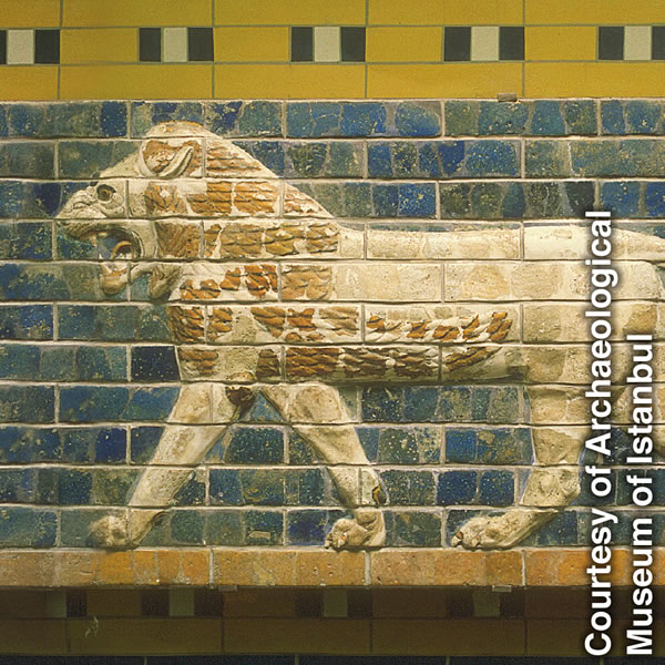 Umfanekiso omenyezelayo wengonyama