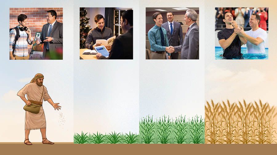 Yiwulili: Chakumela chikusakula mwapanandipanandi. Yeleyi yikusalandana ni mwakusajawulila pasogolo jwakulijiganya Baibulo. 1. Mlimi akumisa mbeju; m’bale akumlalichila mundu ali pa kashelefu. 2. Mbeju simesile; mundu akulijiganya Baibulo nambo mnyumba mwakwe mwana chitela cha maluŵa cha pa Klisimasi. 3. Mbeju sikukula; mundu jula akumkomasya m’bale papite kumisongano ja mpingo. 4. Mbeju sisogwele; mundu jula apatisidwe.