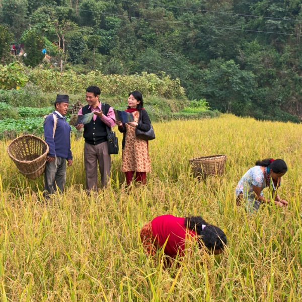 Àwọn Ẹlẹ́rìí Jèhófà ń wàásù fún ẹnì kan