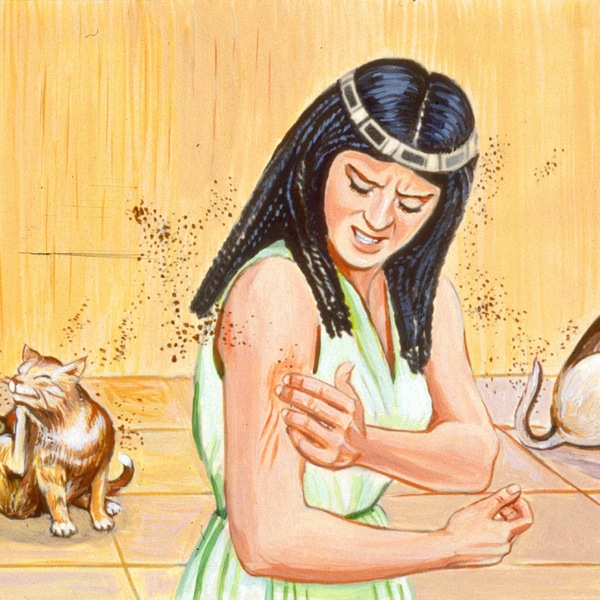 Kòkòrò kantíkantí ń jẹ obìnrin kan nígbà ìyọnu kẹta