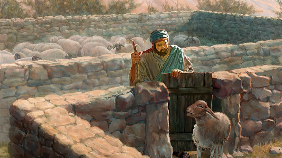 Olùṣọ́ àgùntàn kan lọ bá àgùntàn kan tó ń ṣàìsàn, àgùntàn náà ò sí lọ́dọ̀ àwọn àgùntàn yòókù.