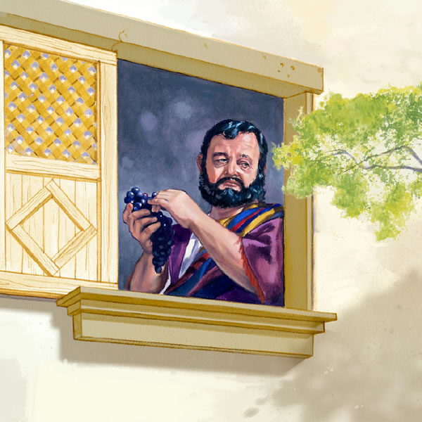 Cayuuyadxí ti hombre nacu lari color moradu ruaa ventana