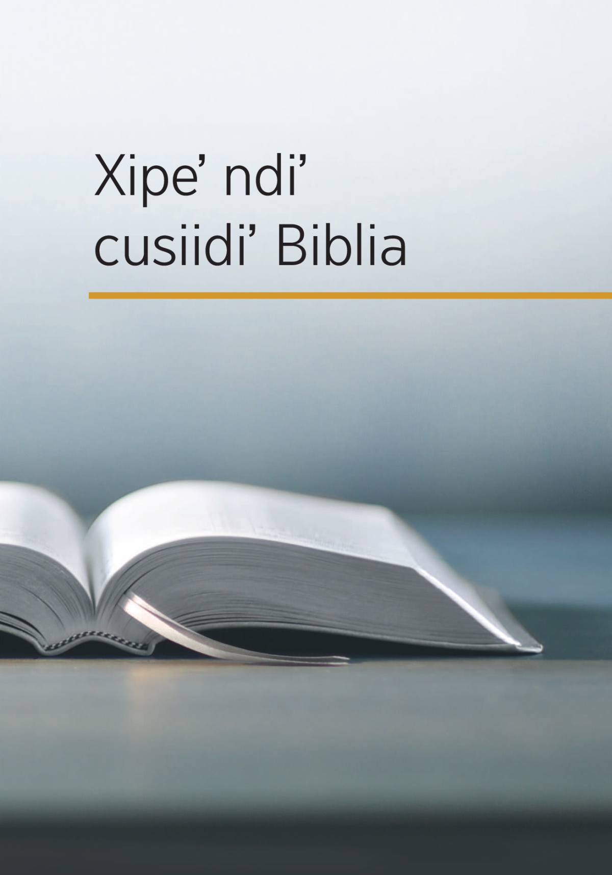 Portada stiʼ libru «Xipeʼ ndiʼ cusiidiʼ Biblia»