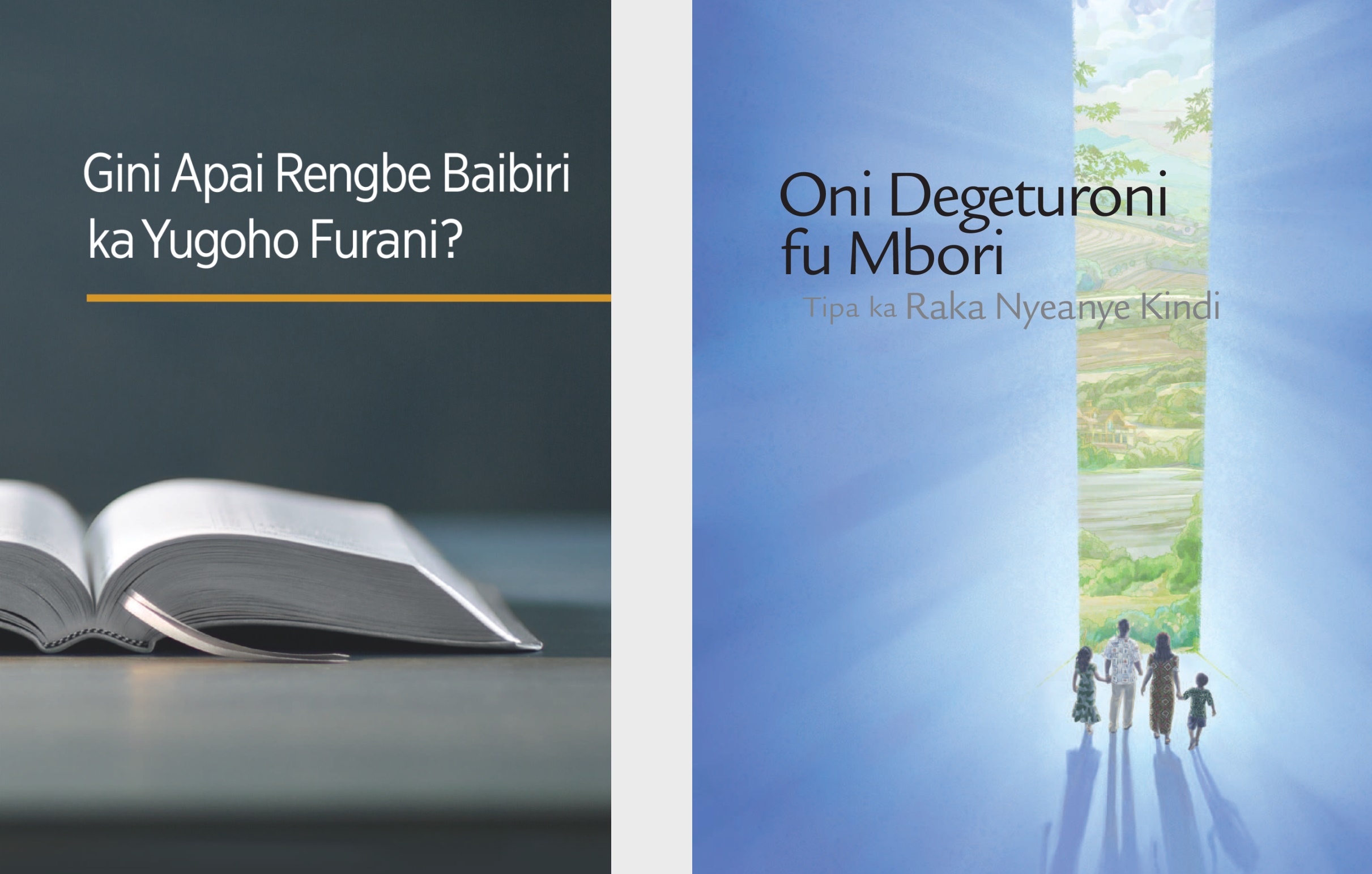 The book ‘What Can the Bible Teach Us?’ and the brochure ‘Listen to God and Live Forever.’