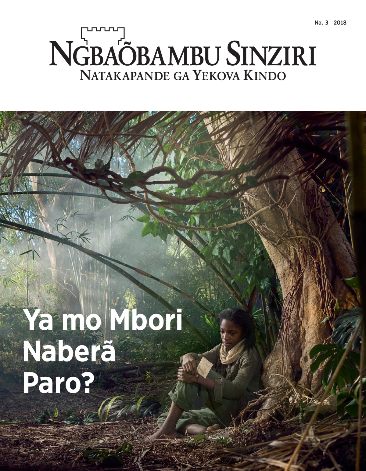 ‘Ngbaõbambu Sinziri’ Na. 3 2018.