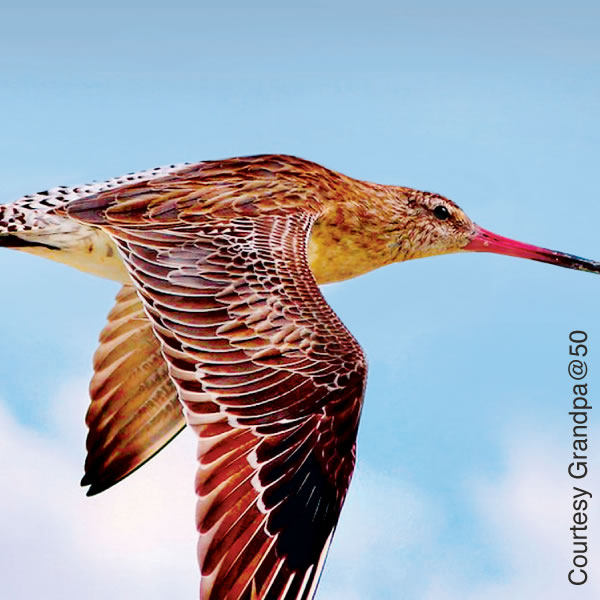 [Isithombe ekhasini 16]