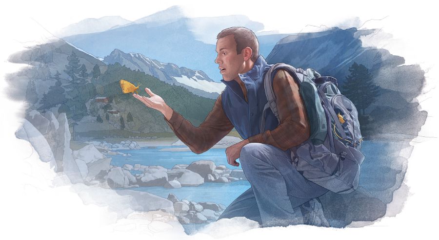 Owesilisa ubukisisa uvemvane