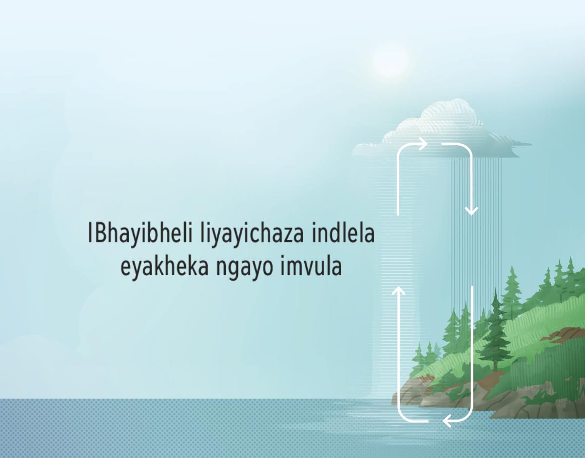 IBhayibheli liyayichaza indlela eyakheka ngayo imvula. Imicibisholo ibonisa indlela amanzi ahwamuka ngayo aye emafwini aphinde abuye eseyimvula.