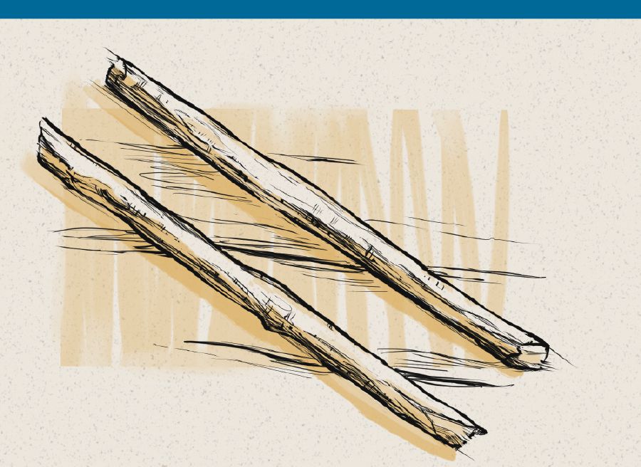 Izinduku ezimbili ezisesiprofethweni sikaHezekeli