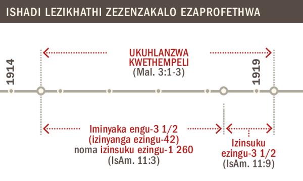 Time line of the cleansing of the temple from 1914 to 1919